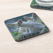 Fennek (Vulpes zerda) W �_stenfuchs, Fennec Drankjes Onderzetter (Linkerzijde)