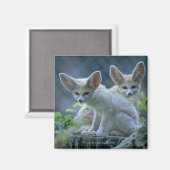 Fennek (Vulpes zerda) W �_stenfuchs, Fennec Magneet (Voorkant / Achterkant)