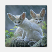 Fennek (Vulpes zerda) W �_stenfuchs, Fennec Magneet (Voorkant)