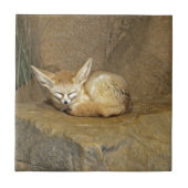 fennekfox tegeltje (Voorkant)