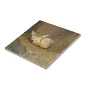 fennekfox tegeltje (Zijkant)