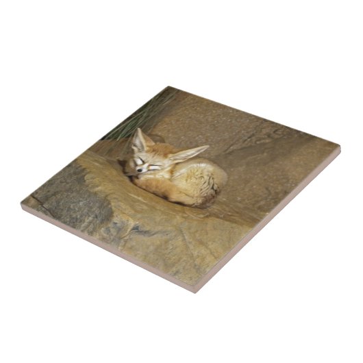 fennekfox tegeltje (Zijkant)