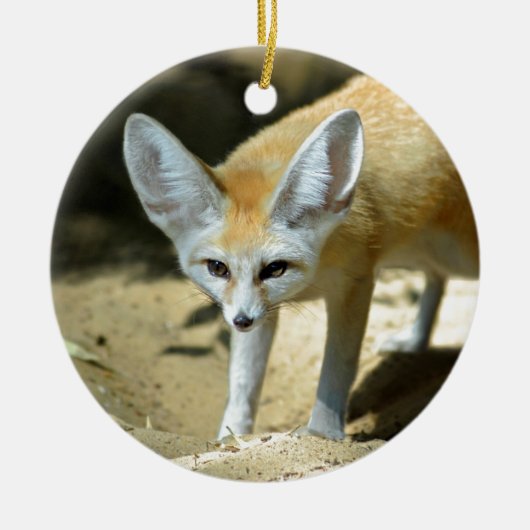 Fennekvos Keramisch Ornament (Voorkant)