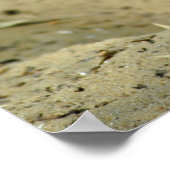 Fennekvos Poster (Hoek)