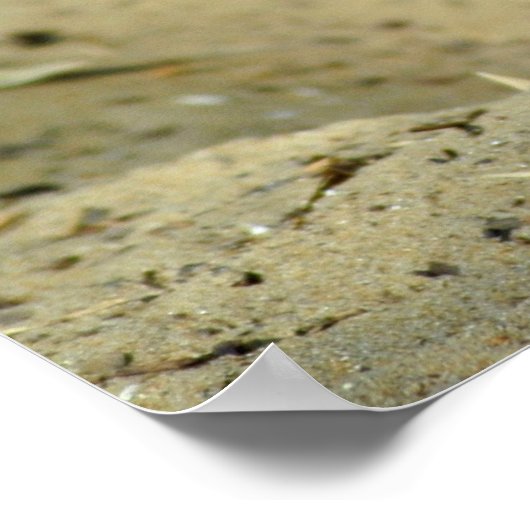 Fennekvos Poster (Hoek)