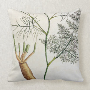 Fennel, bord 288 uit "A Curious Herbal", publiceer Kussen