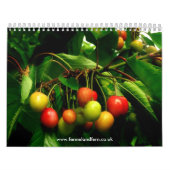 Fennel en Fern 2010 Agenda Kalender (Hoes)