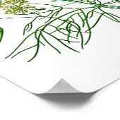Fennel Herb Botanische illustratie Keukendecor Poster (Hoek)