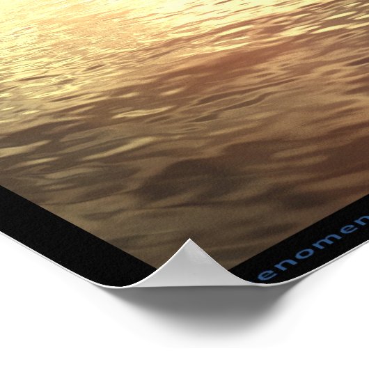 fenomeen poster (Hoek)