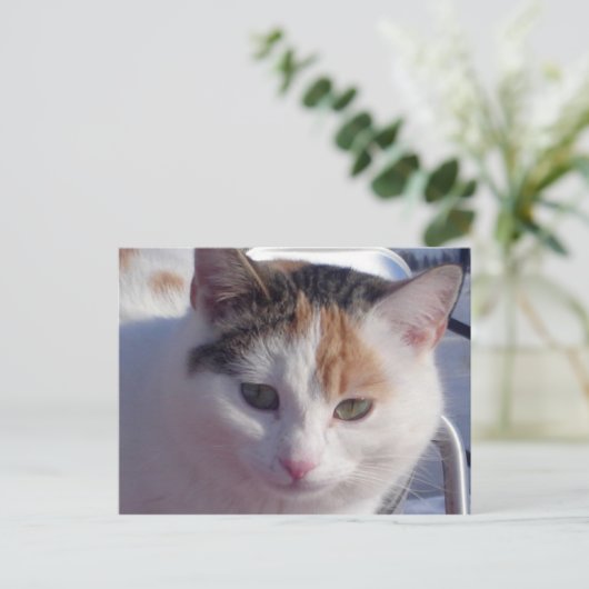 Feral Beauty Briefkaart (Staand voorkant)