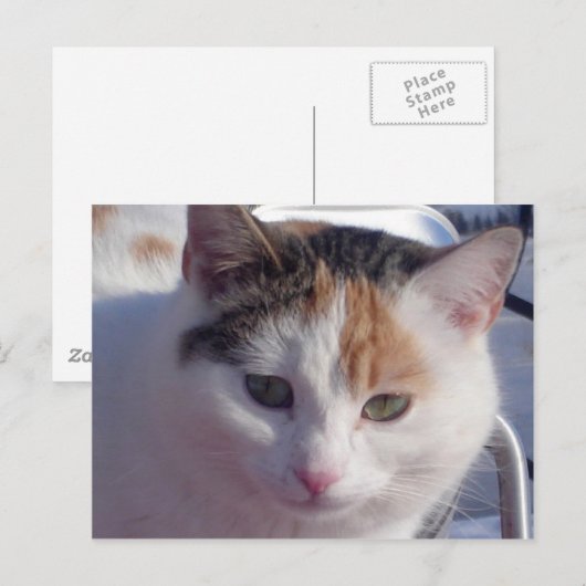 Feral Beauty Briefkaart (Voorkant / Achterkant)