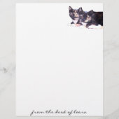 Feral Cat Family Letterhead (Voorkant)