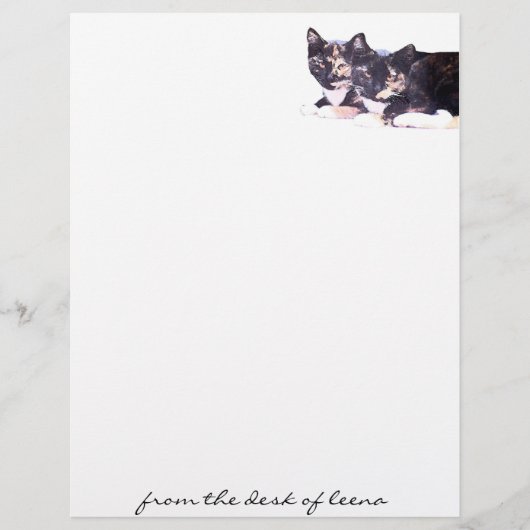Feral Cat Family Letterhead (Voorkant)