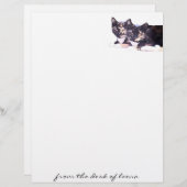 Feral Cat Family Letterhead (Voorkant / Achterkant)