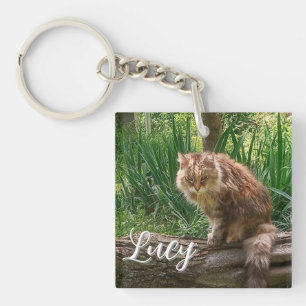 Feral Cat Foto / Kattenliefhebber Sleutelhanger