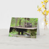 Feral Cat in Bossen Wenskaart Kaart (Gele Bloem)