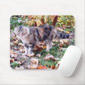 Feral Cat in de herfst van Mousepad Muismat (Met muis)