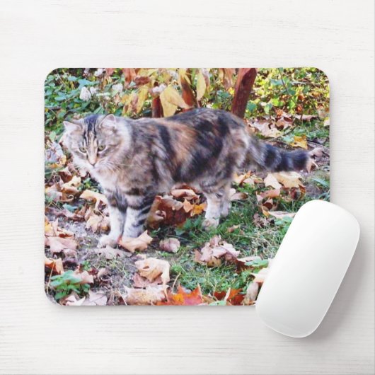 Feral Cat in de herfst van Mousepad Muismat (Met muis)