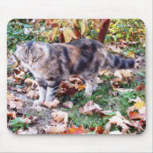 Feral Cat in de herfst van Mousepad Muismat (Voorkant)