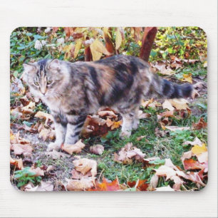 Feral Cat in de herfst van Mousepad Muismat