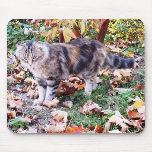 Feral Cat in de herfst van Mousepad Muismat (Voorkant)