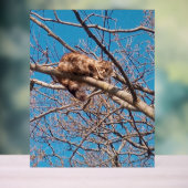 Feral Cat Lucy in Tree Cat Lover's Acryl Bord (Neutraal)