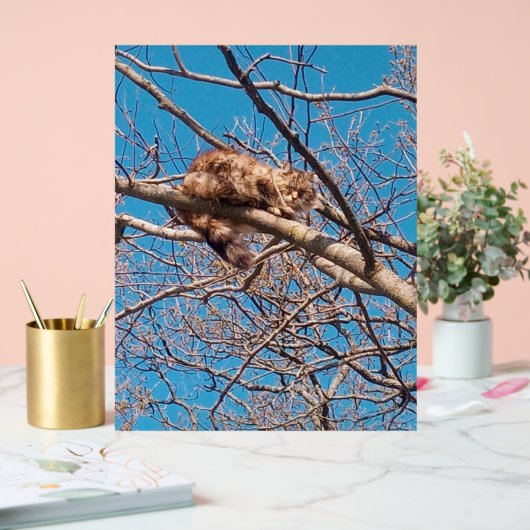 Feral Cat Lucy in Tree Cat Lover's Acryl Bord (Huwelijk)