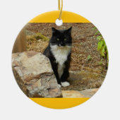 Feral Cat Momma Keramisch Ornament (Voorkant)