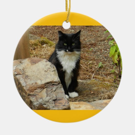 Feral Cat Momma Keramisch Ornament (Voorkant)