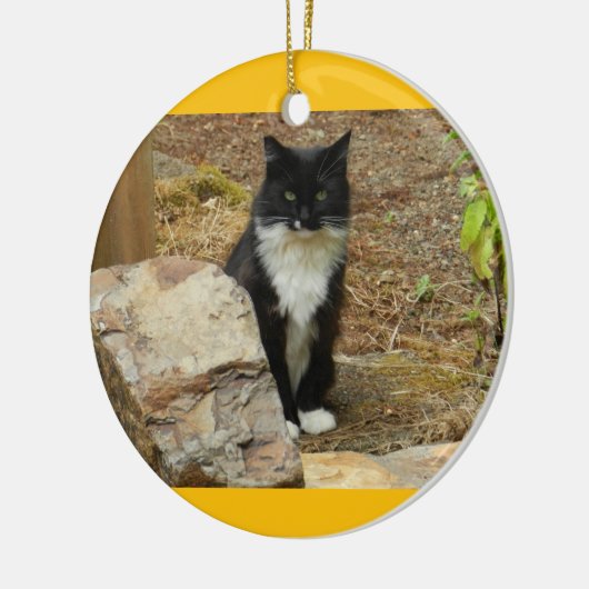 Feral Cat Momma Keramisch Ornament (Links)