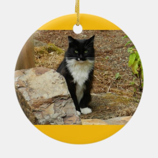 Feral Cat Momma Keramisch Ornament (Achterkant)