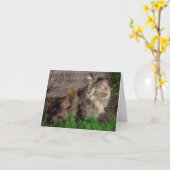 Feral Cat Portrait Note Kaart (Gele Bloem)