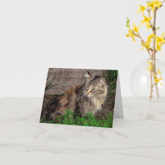 Feral Cat Portrait Note Kaart (Gele Bloem)