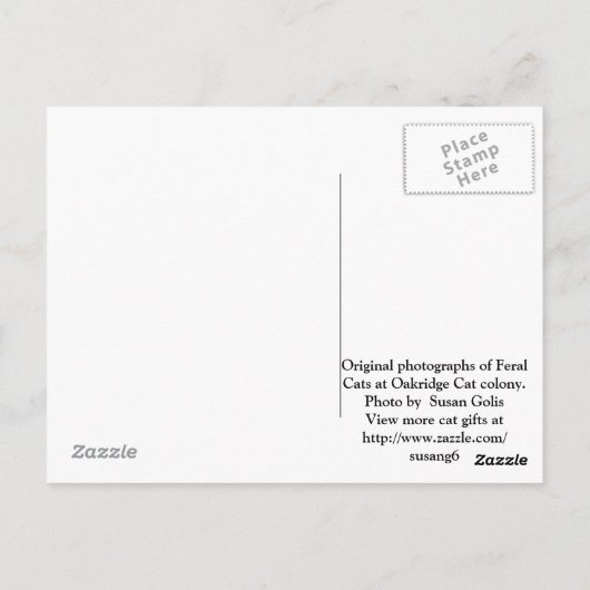 Feral Cat TNR Briefkaart (Achterkant)