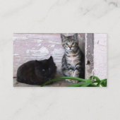Feral Cat Want Visitekaartje (Achterkant)