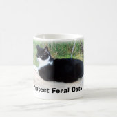Feral Cats beschermen Koffiemok (Center)