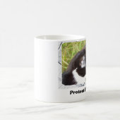 Feral Cats beschermen Koffiemok (Center)