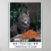 Feral Cats Deserving of Love Poster (Voorkant)