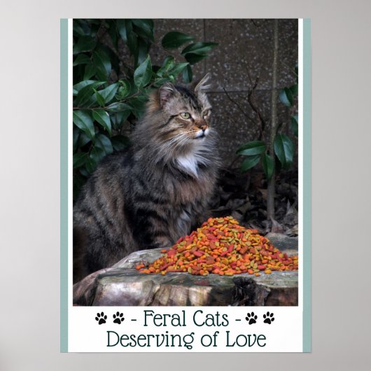 Feral Cats Deserving of Love Poster (Voorkant)