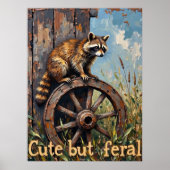 Feral en Fancy: Wasbeer op  Wheel Poster (Voorkant)