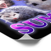 Feral Girl Summer Opossum Funny Meme Poster (Hoek)