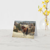 Feral Horse, Theodore Roosevelt National Park, ND Kaart (Gele Bloem)