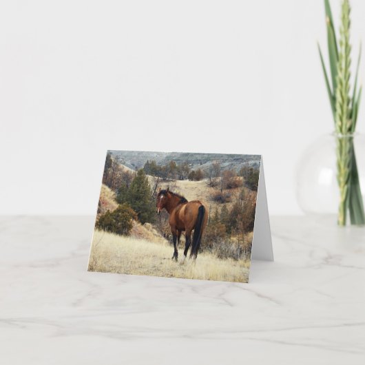 Feral Horse, Theodore Roosevelt National Park, ND Kaart (Voorkant)