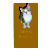 Feral Kitten "Hemming" Bookplate Etiket (Voorkant)