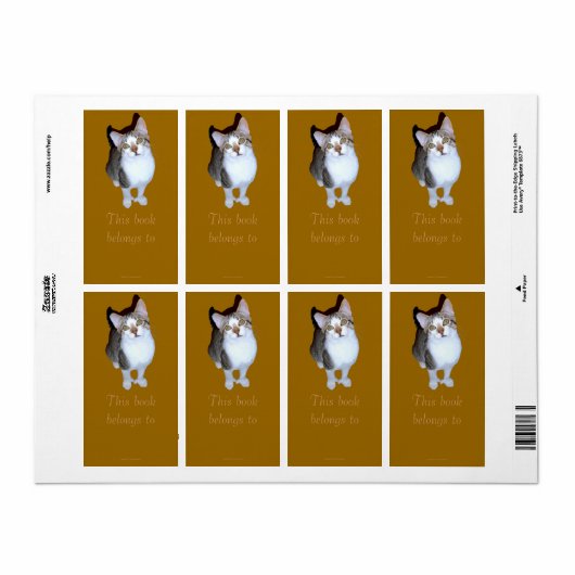 Feral Kitten "Hemming" Bookplate Etiket (Full Sheet)