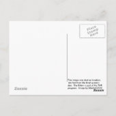 Feral Kittens in Forest Den Briefkaart (Achterkant)