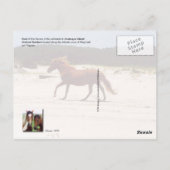 Feral paarden, Assateague Island Nat. Seashore Briefkaart (Achterkant)