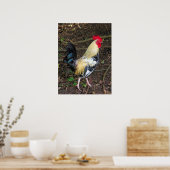 Feral Rooster Poster (Keuken)