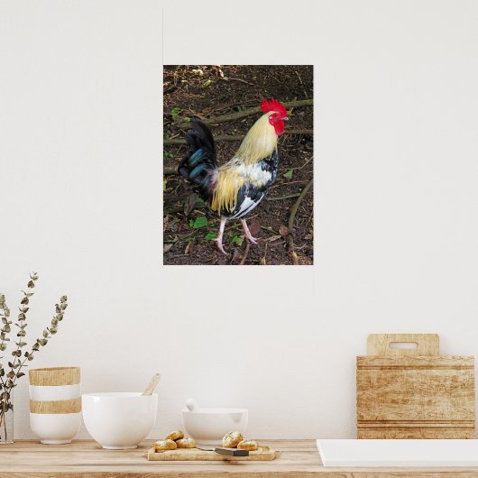 Feral Rooster Poster (Keuken)
