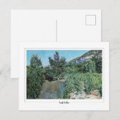 Ferdinand Hodler #65 - Kunstkaart Briefkaart (Voorkant / Achterkant)